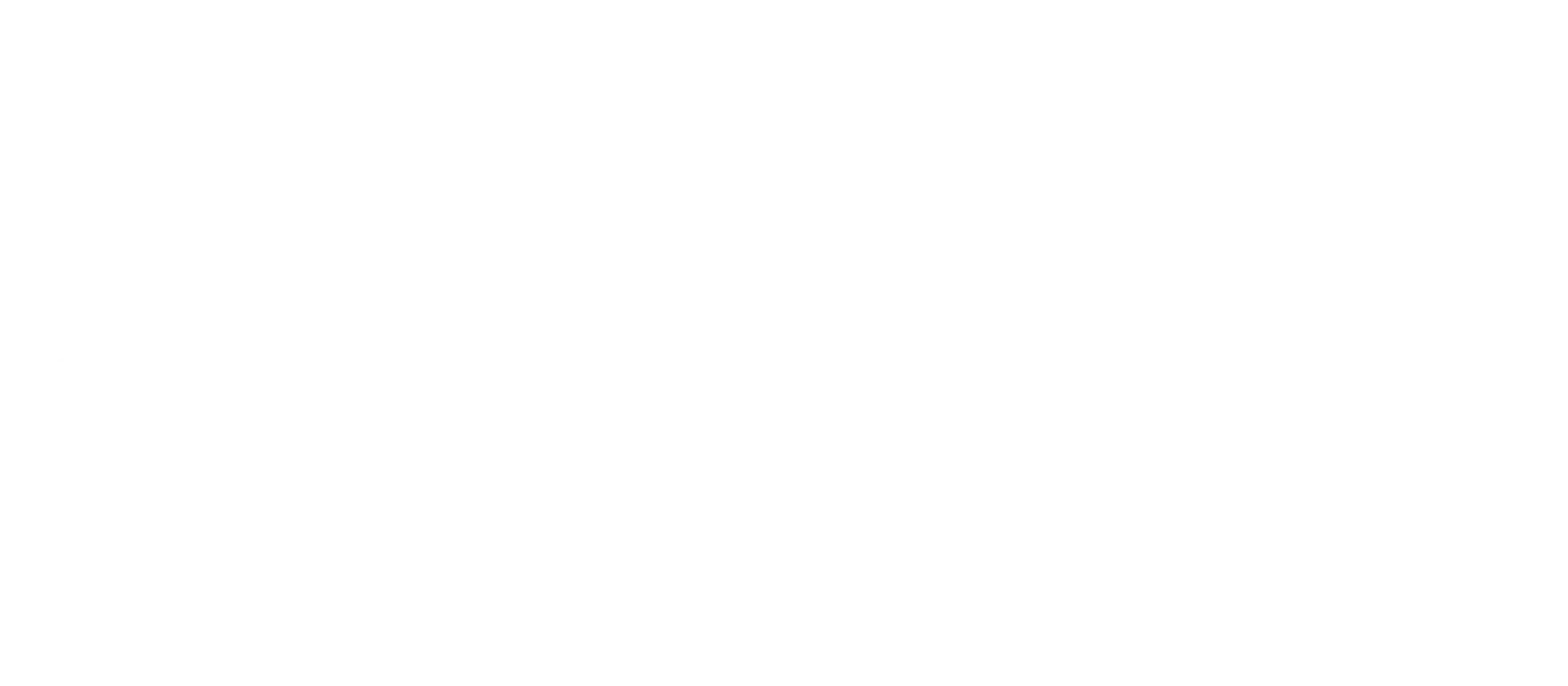 Pusu X Spinnova